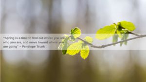 Spring Leaves and text