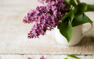 Lilacs in a vase - TRE Intro Workshop