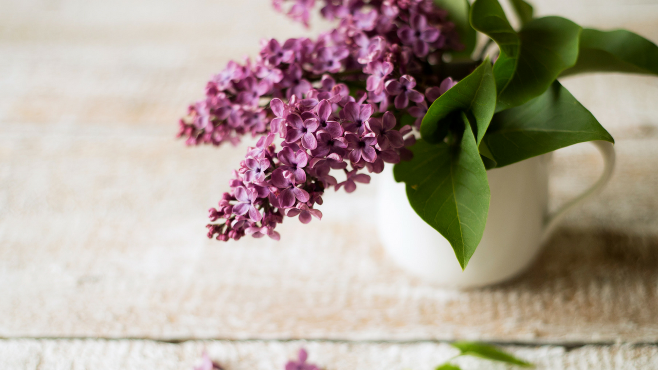 Lilacs in a vase - TRE Intro Workshop