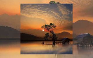 TRE® & Mindfulness Retreat