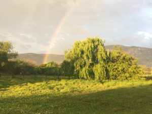 Half-Day Mindfulness Retreat