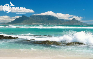 TRE Providers - Table Mountain