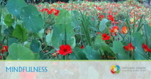 Mindfulness-8-Week-Programme
