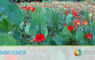 Mindfulness-8-Week-Programme