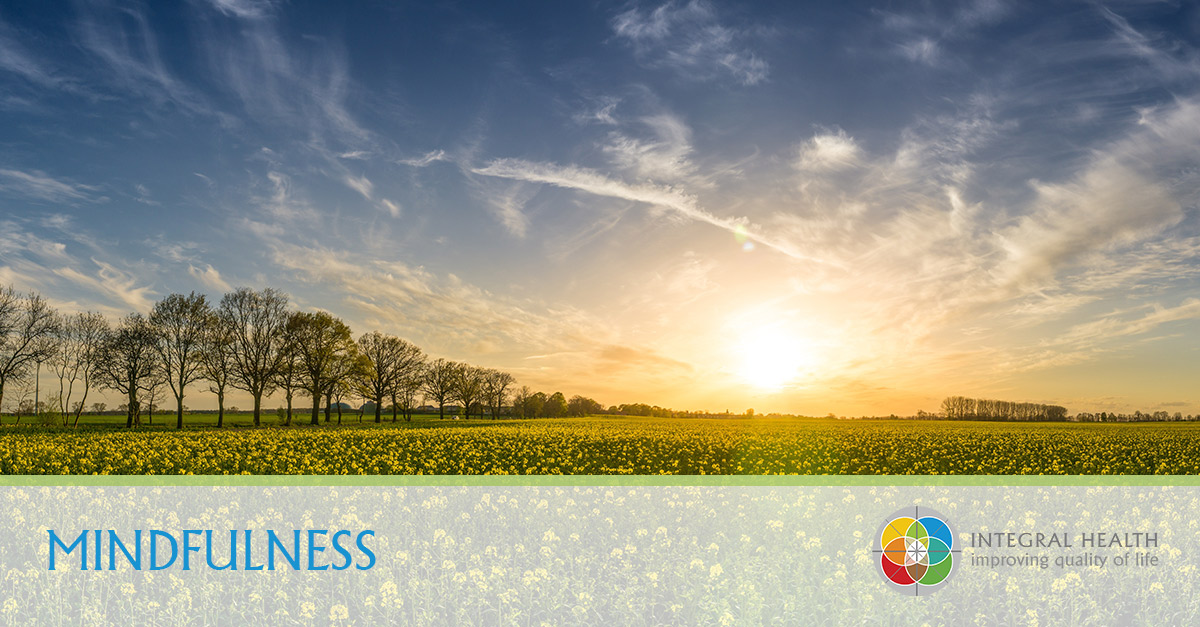 Mindfulness-8-Week-Programme