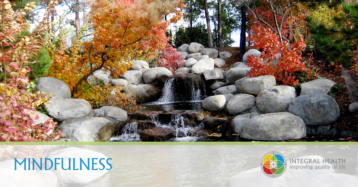 Mindfulness-8-Week-Programme