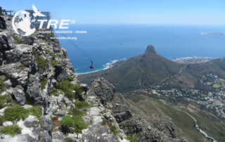 Table Bay -TRE Providers