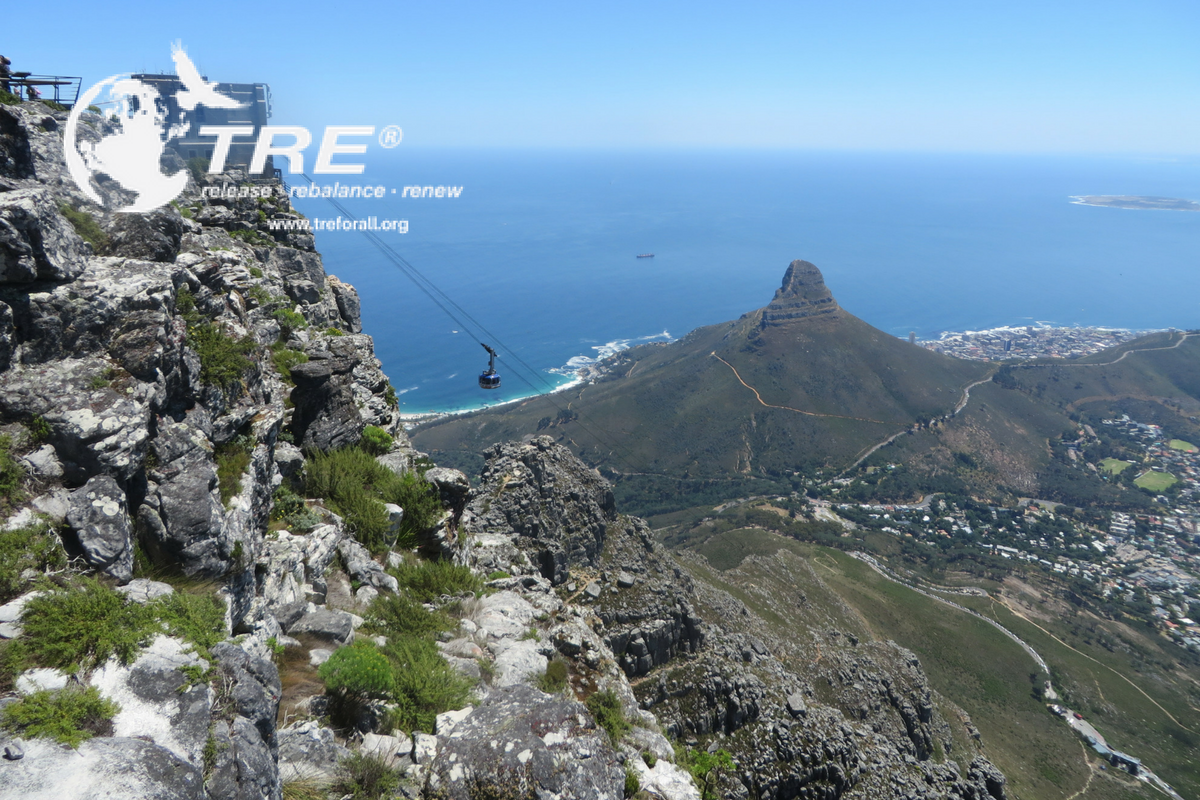 Table Bay -TRE Providers
